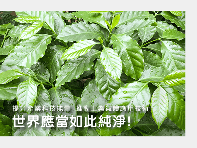 CoCo壹番屋 多門市餐飲網站，桌機與手機畫面展示